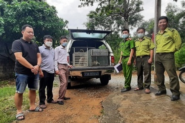 Người dân tự nguyên giao nộp động vật hoang dã cho  cơ quan chức năng để cứu hộ